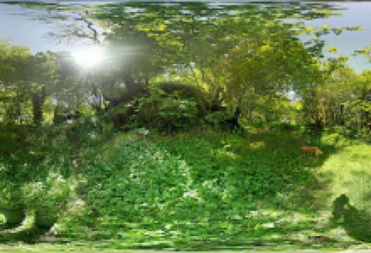 Duchal Castle景点图片