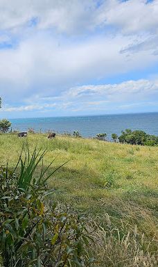 卡提奇灯塔-Moeraki
