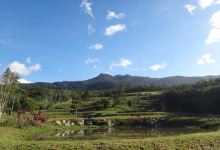 FINCA QUEBRADO BEBEDERO景点图片