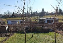 Sparte Kleingärtner Sonnige Höhe e.V.景点图片