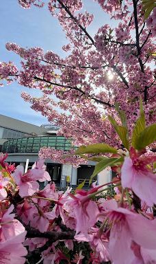 Children Miraikan-丰桥市
