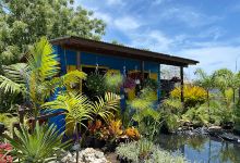 Mi Patio Del Oeste Garden景点图片
