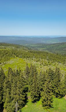 Poledník-普拉斯利