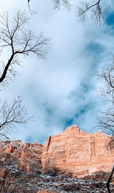 The Grotto Picnic Area-华盛顿县