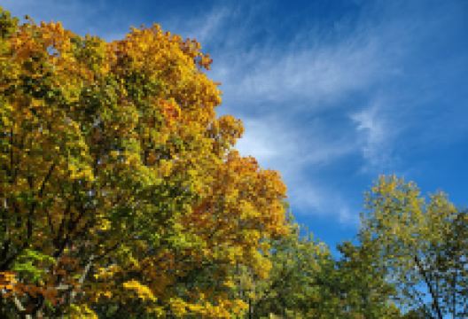 Parks & Recreation Department景点图片