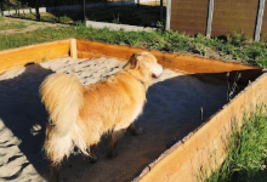 Calphanis购物图片