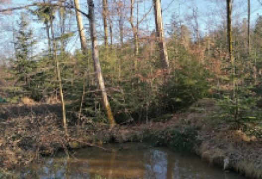 Mittelpunkt Kreis Göppingen景点图片