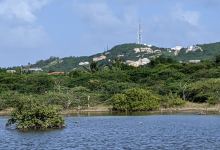 McKinnon's Pond景点图片
