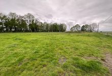 Hondenweide kievit景点图片