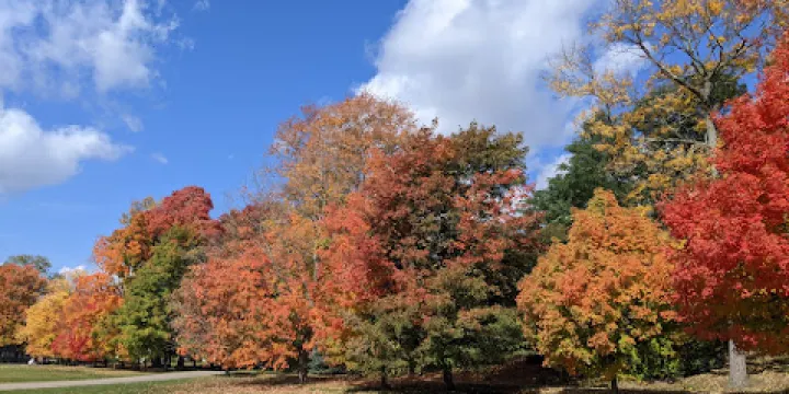 Spring Hill Historic Home & Underground Railroad Site