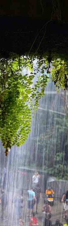 云雾林-新加坡-YoYo_2Z6R7X2Q