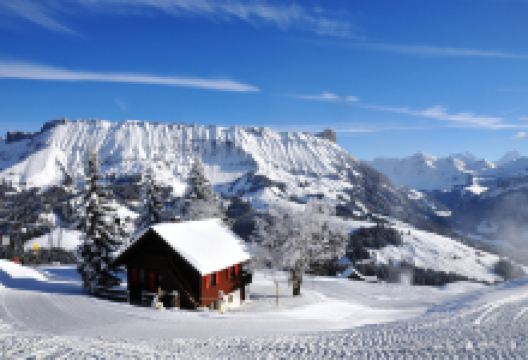 Sportbahnen Marbachegg AG美食图片