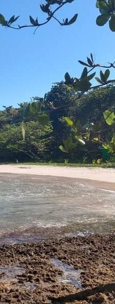 卡维塔国家公园-Talamanca