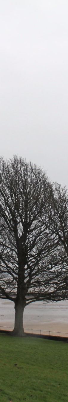 Hazelbank Park-纽敦阿比