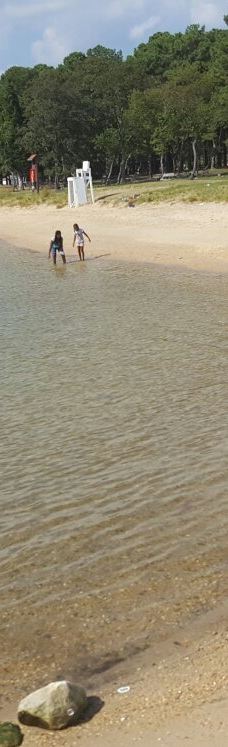 Point Lookout State Park-圣玛丽县