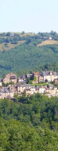 Najac Castle-纳雅克