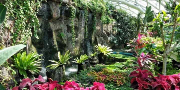 科尼亞熱帶蝴蝶園