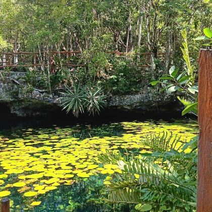 墨西哥5日3晚私家团