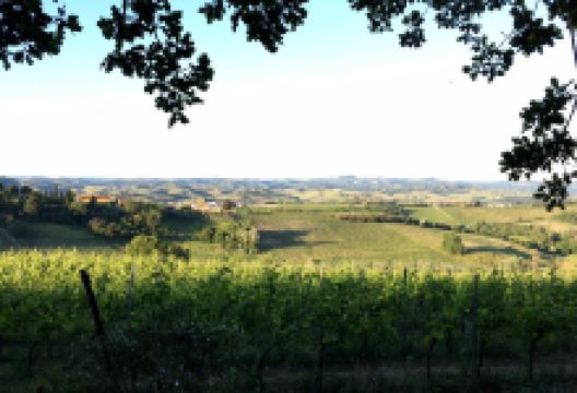 Agricola Tamburini Emanuela景点图片