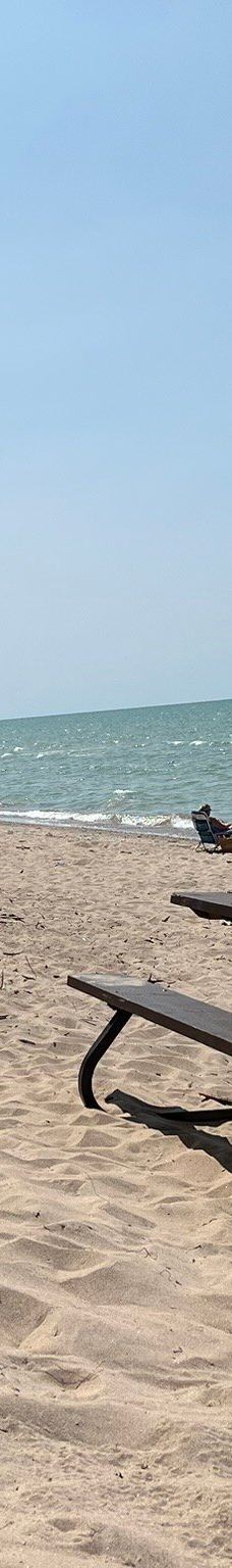 Pinery Provincial Park-大本德