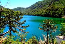 Huerquehue National Park景点图片