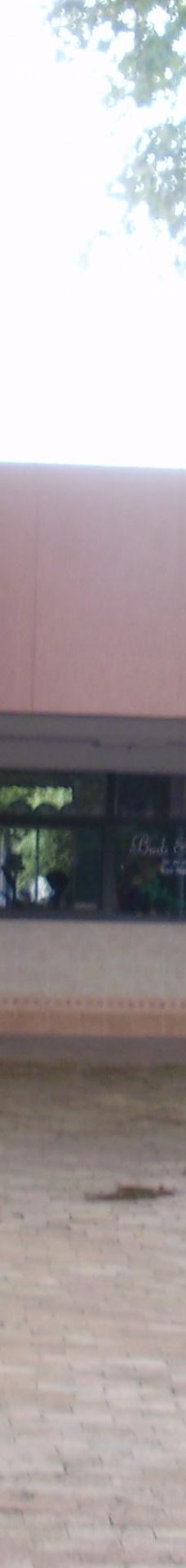 Mbabane Market-姆巴巴内