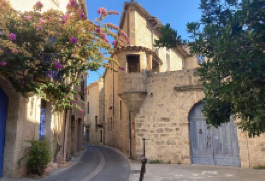 Pezenas Market购物图片
