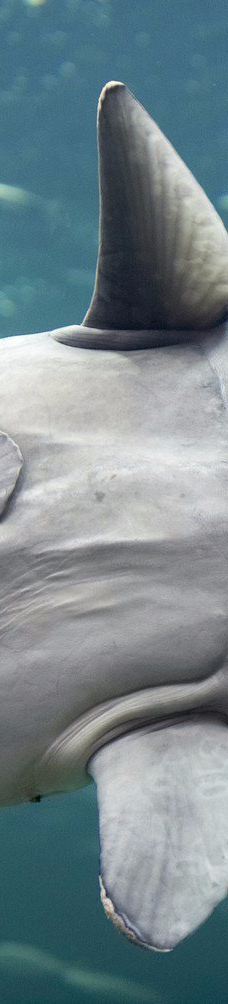 北海博物馆-希茨海尔斯