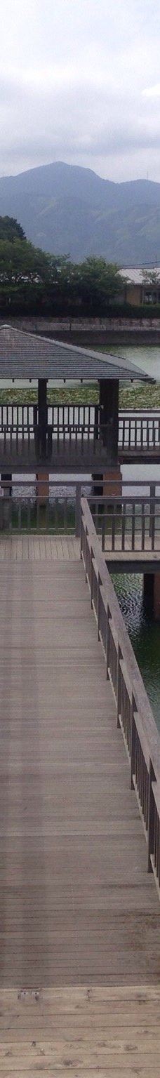 清水船越堤公園-静冈