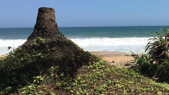 Thengapattinam Beach