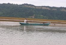 Isla Corazon Mangrove Reserve景点图片