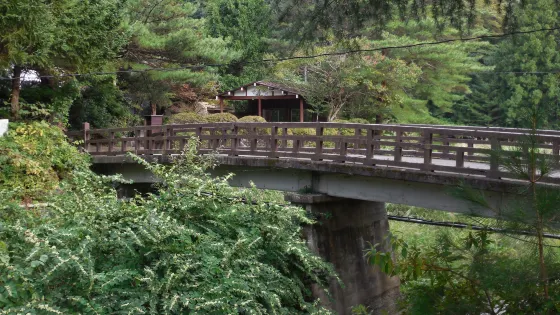 木之葉化石園