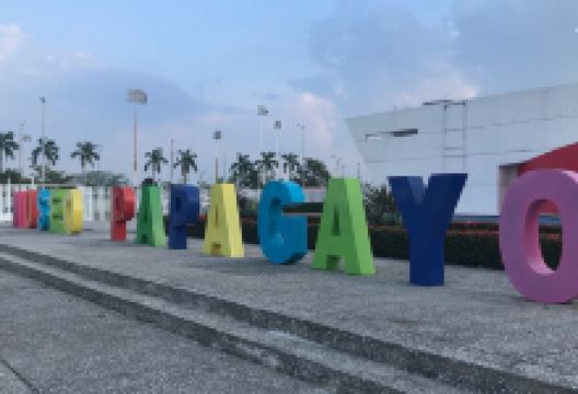 Museo Interactivo Papagayo景点图片