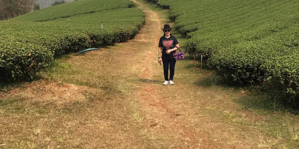 永安旅遊
