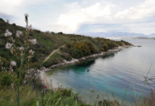 Erimitis景点图片