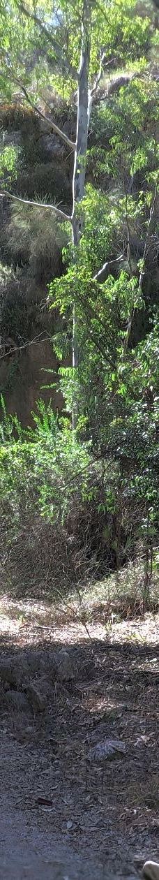 Fuente del Esparto-内尔哈