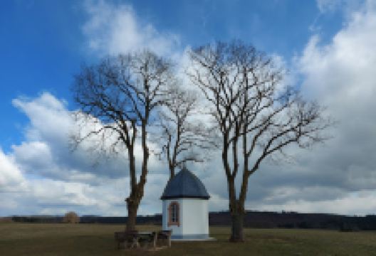 EifelSchleife Durchs Auelbachtal景点图片