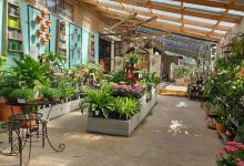 concrete & garden creations购物图片