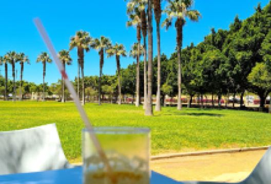 Parque Municipal de El Ejido景点图片