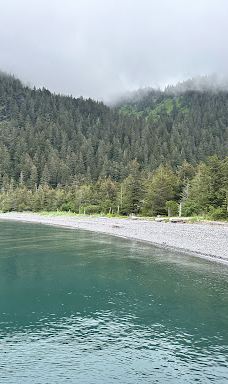 Kenai Fjords Tours-西沃德