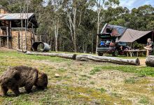 Yerranderie Camping Area景点图片
