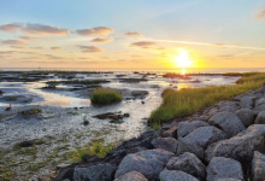 Friedrichskoog Spitze景点图片