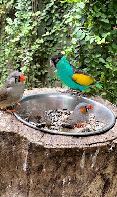 Butterfly Park Empuriabrava-Alt Emporda