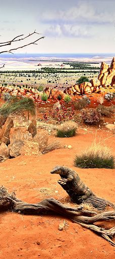 The Big Picture-布罗肯希尔