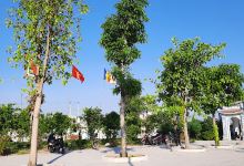 Chùa Đồng Đức景点图片