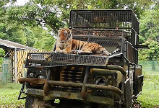 AFamosa Animal World Safari景点图片