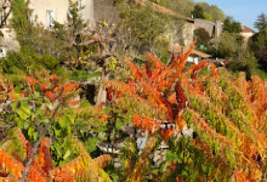 Point de vue à Amance景点图片