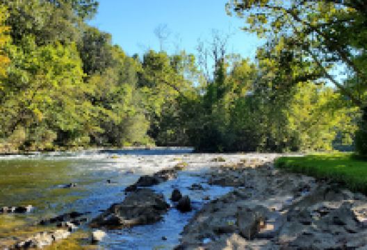 Camp Stonefly景点图片