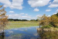 Lake Hodge Park景点图片