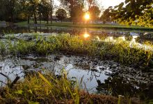 Littlestown Park景点图片